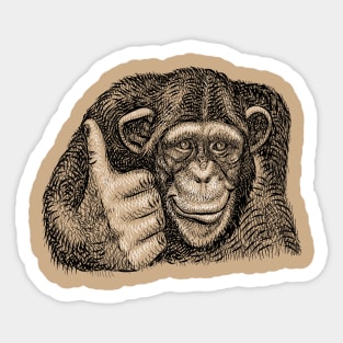 Chimpanzee Thumb Up Sticker